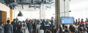 The Wild Fall – Bench Revival – Accounting Startup Implosion